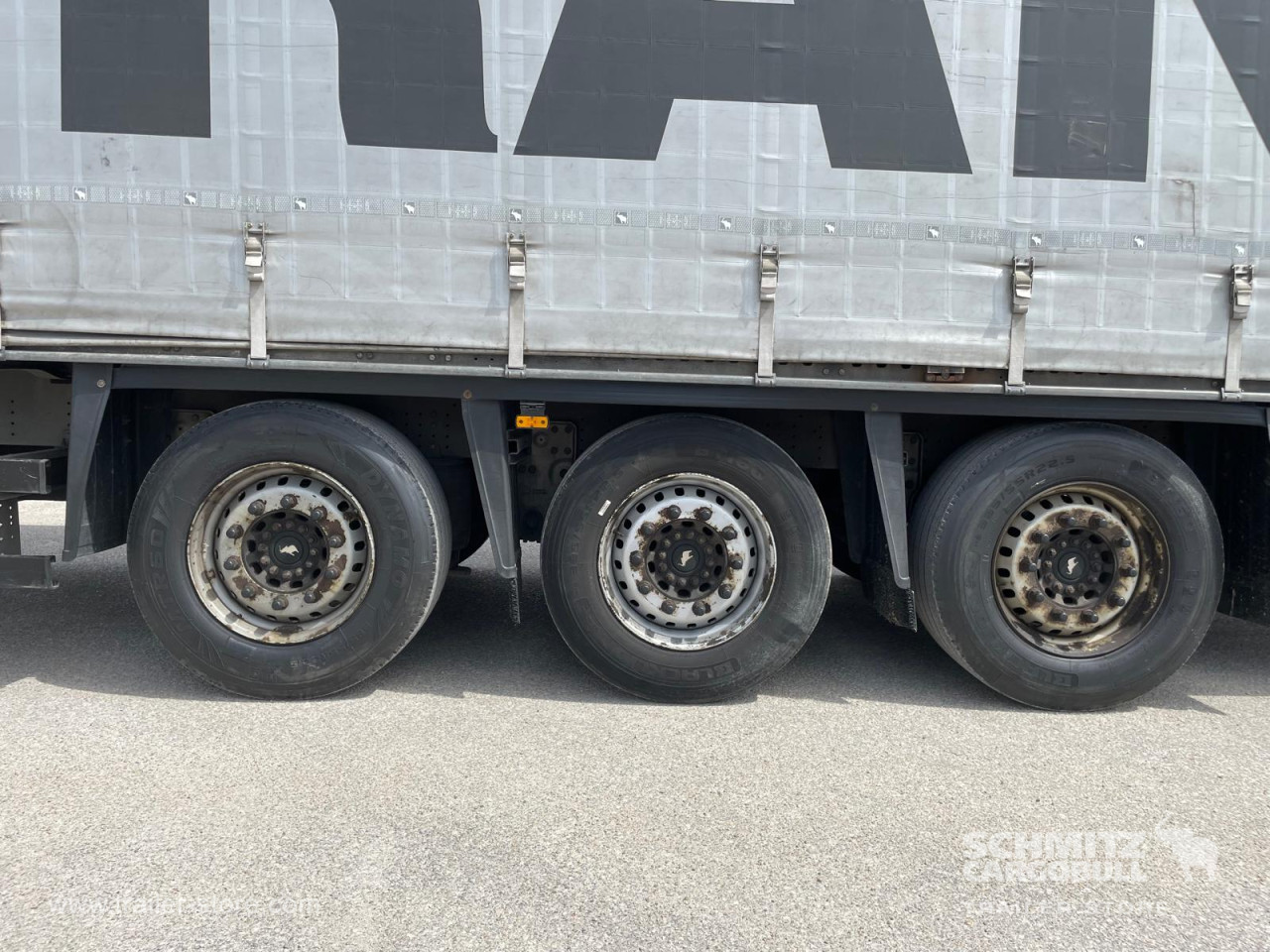 Schmitz Cargobull Lona para empurrar Padrão 
