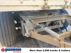 Andere Kofferanhänger mit LBW, Durchladesystem 