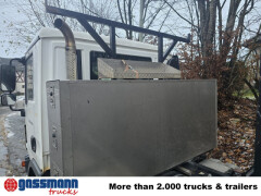 MAN TGL 12.250 4x2 BL, Palfinger Abroller P 